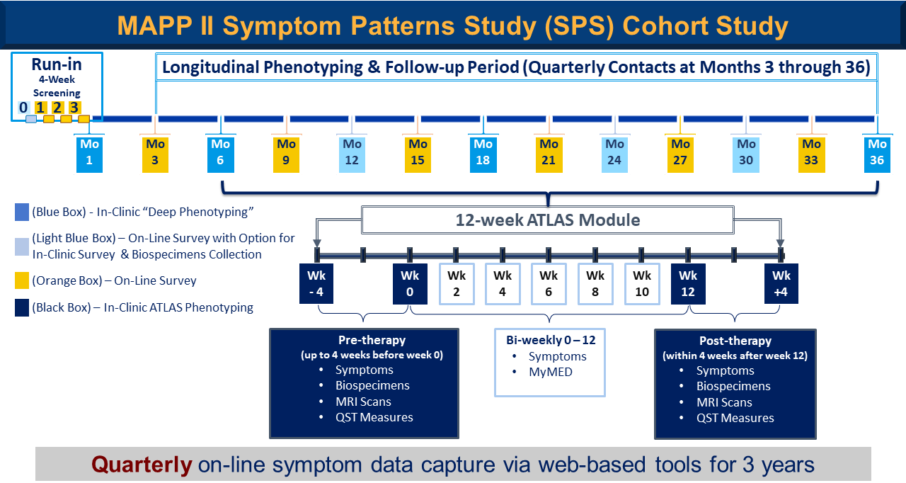 Quarterly on-line symptom data capture via web-based tools for 3 years.
