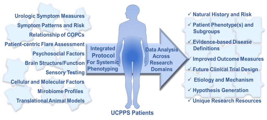The MAPP Research Network’s Integrated Approach to Systemic UCPPS Phenotyping